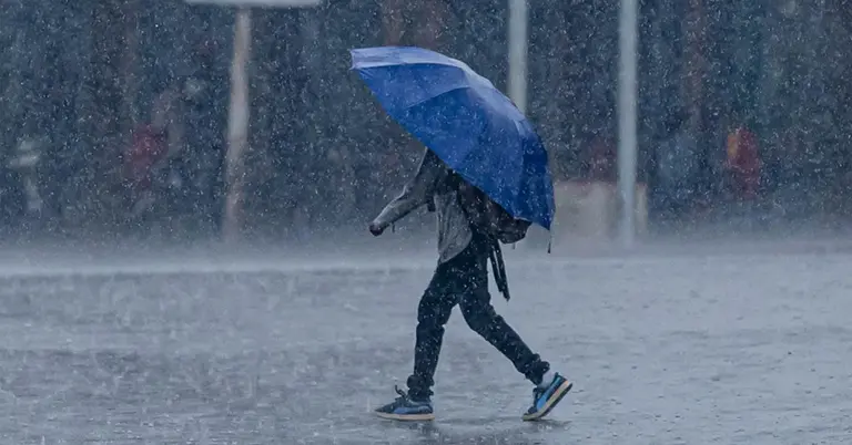বৃষ্টিতে ছাতা মাথায় একজন পথিক